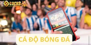 Cá độ bóng đá