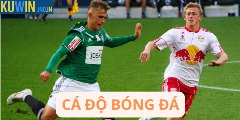 Cá độ bóng đá